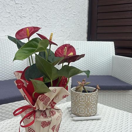 Appartamento Giardini Naxos Butterflies Home Скизо Экстерьер фото